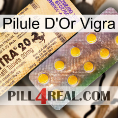 Vigra Gold Pill new06
